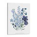 Loudon Florals Iv - Jane Loudon | Cuadro decorativo de Canvas Lab