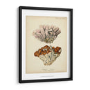 Colección De Coral Ii - Johann Esper | Cuadro decorativo de Canvas Lab