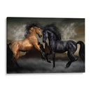 Batalla mulata | Cuadro decorativo de Canvas Lab