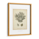 Colección De Coral Vii - Johann Esper | Cuadro decorativo de Canvas Lab