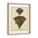 Colección De Coral Viii - Johann Esper | Cuadro decorativo de Canvas Lab