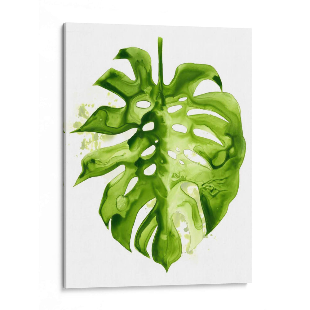 Monstera Ii - Grace Popp | Cuadro decorativo de Canvas Lab
