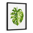 Monstera Ii - Grace Popp | Cuadro decorativo de Canvas Lab