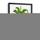 Monstera Ii - Grace Popp | Cuadro decorativo de Canvas Lab