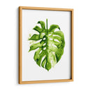 Monstera Ii - Grace Popp | Cuadro decorativo de Canvas Lab
