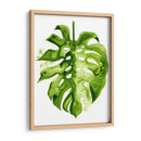 Monstera Ii - Grace Popp | Cuadro decorativo de Canvas Lab