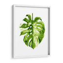 Monstera Ii - Grace Popp | Cuadro decorativo de Canvas Lab