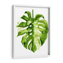 Monstera Ii - Grace Popp | Cuadro decorativo de Canvas Lab