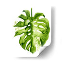 Monstera Ii - Grace Popp | Cuadro decorativo de Canvas Lab