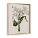 Lily Ii De Crinio - Naomi McCavitt | Cuadro decorativo de Canvas Lab