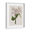 Lily Ii De Crinio - Naomi McCavitt | Cuadro decorativo de Canvas Lab