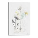 Ilusión De Tallo Ii - June Erica Vess | Cuadro decorativo de Canvas Lab