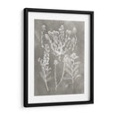 Estudio De Herbario Iii - Vision Studio | Cuadro decorativo de Canvas Lab