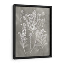 Estudio De Herbario Iii - Vision Studio | Cuadro decorativo de Canvas Lab