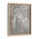 Estudio De Herbario Iii - Vision Studio | Cuadro decorativo de Canvas Lab