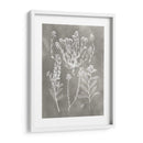 Estudio De Herbario Iii - Vision Studio | Cuadro decorativo de Canvas Lab