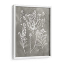 Estudio De Herbario Iii - Vision Studio | Cuadro decorativo de Canvas Lab