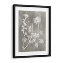 Estudio De Herbario Iv - Vision Studio | Cuadro decorativo de Canvas Lab