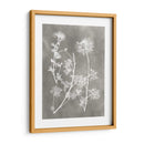 Estudio De Herbario Iv - Vision Studio | Cuadro decorativo de Canvas Lab