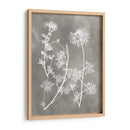 Estudio De Herbario Iv - Vision Studio | Cuadro decorativo de Canvas Lab