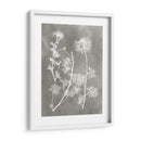 Estudio De Herbario Iv - Vision Studio | Cuadro decorativo de Canvas Lab