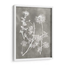 Estudio De Herbario Iv - Vision Studio | Cuadro decorativo de Canvas Lab