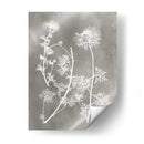 Estudio De Herbario Iv - Vision Studio | Cuadro decorativo de Canvas Lab