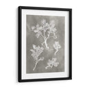 Estudio De Herbario Ii - Vision Studio | Cuadro decorativo de Canvas Lab