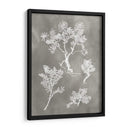 Estudio De Herbario Ii - Vision Studio | Cuadro decorativo de Canvas Lab