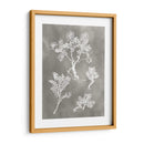Estudio De Herbario Ii - Vision Studio | Cuadro decorativo de Canvas Lab