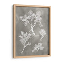 Estudio De Herbario Ii - Vision Studio | Cuadro decorativo de Canvas Lab