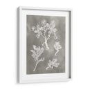 Estudio De Herbario Ii - Vision Studio | Cuadro decorativo de Canvas Lab
