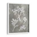 Estudio De Herbario Ii - Vision Studio | Cuadro decorativo de Canvas Lab