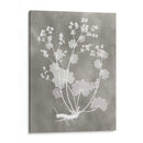 Estudio De Herbario I - Vision Studio | Cuadro decorativo de Canvas Lab