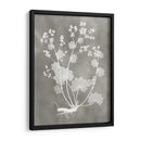 Estudio De Herbario I - Vision Studio | Cuadro decorativo de Canvas Lab