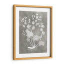 Estudio De Herbario I - Vision Studio | Cuadro decorativo de Canvas Lab