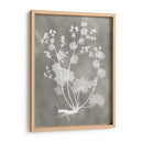 Estudio De Herbario I - Vision Studio | Cuadro decorativo de Canvas Lab