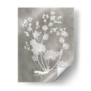 Estudio De Herbario I - Vision Studio | Cuadro decorativo de Canvas Lab