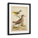 Menagerie De Pájaro Antiguo I - George Edwards | Cuadro decorativo de Canvas Lab