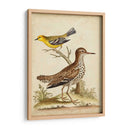 Menagerie De Pájaro Antiguo I - George Edwards | Cuadro decorativo de Canvas Lab