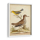 Menagerie De Pájaro Antiguo I - George Edwards | Cuadro decorativo de Canvas Lab