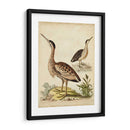 Menagerie De Pájaro Antiguo Iii - George Edwards | Cuadro decorativo de Canvas Lab