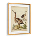 Menagerie De Pájaro Antiguo Iii - George Edwards | Cuadro decorativo de Canvas Lab