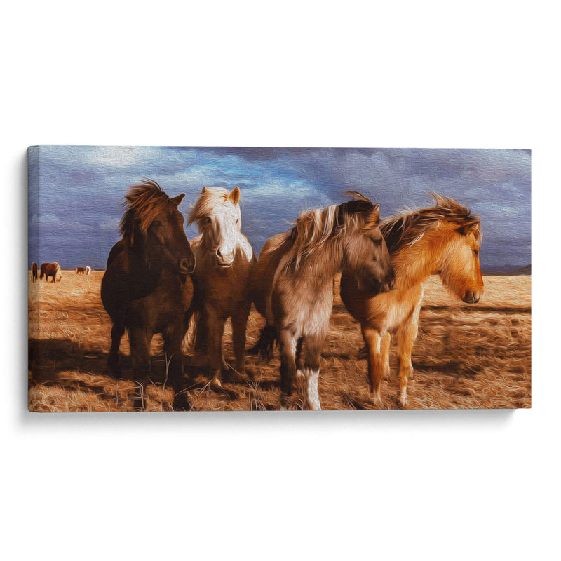 Caballitos en el pastizal | Cuadro decorativo de Canvas Lab