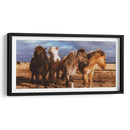 Caballitos en el pastizal | Cuadro decorativo de Canvas Lab