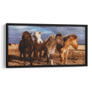 Caballitos en el pastizal | Cuadro decorativo de Canvas Lab