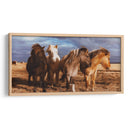 Caballitos en el pastizal | Cuadro decorativo de Canvas Lab