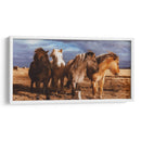 Caballitos en el pastizal | Cuadro decorativo de Canvas Lab