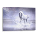 Caballo blanco en su universo | Cuadro decorativo de Canvas Lab