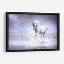 Caballo blanco en su universo | Cuadro decorativo de Canvas Lab